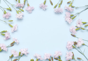 A branch with light pink carnations on textural blue paper. Spring background for design and decoration