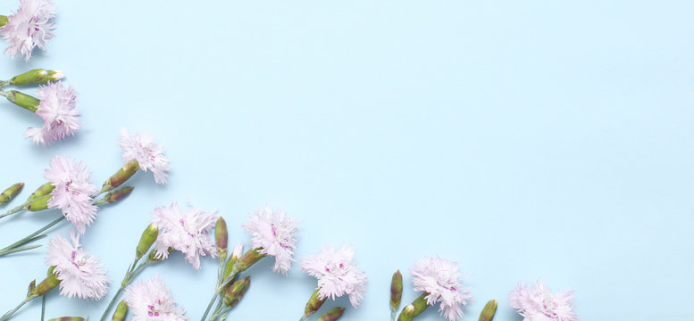 A Branch With Light Pink Carnations On Textural Blue Paper. Spring Background For Design And Decoration