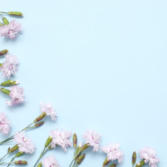 Fototapeta na wymiar A branch with light pink carnations on textural blue paper. Spring background for design and decoration