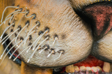 Close up to Colorful and patterns of  dinosaur model surfaces created with cement