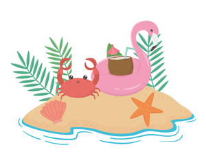 Flamingo float and summer icon set design