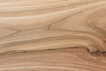 Obraz premium Wood texture background with natural pattern, close up view