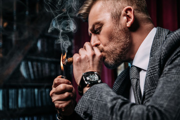 smoking cigar in interior. - obrazy, fototapety, plakaty