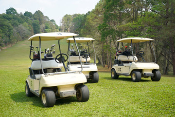 Golf cart on fairway in golf course.