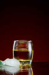 Glass with alcohol in a transparent glass with ice and mint on a red background