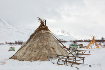 Nenets reindeer herders choom on a winter day