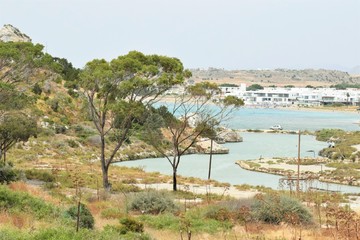 Naklejka premium Beautiful suumer Cyprus nature background