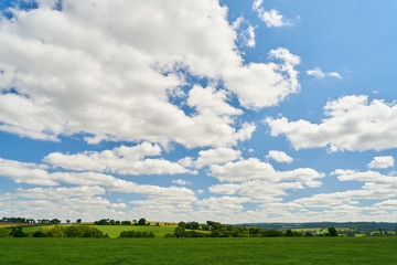 Grüne Wiesen und Felder als Landschaft im Sommer