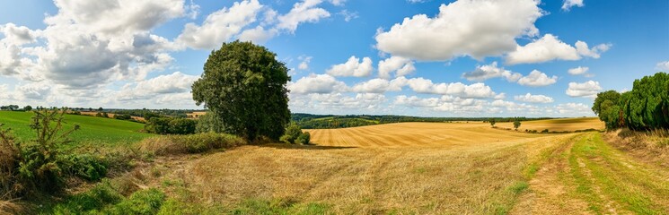 Getreidefeld nach Ernte im Sommer als Panorama