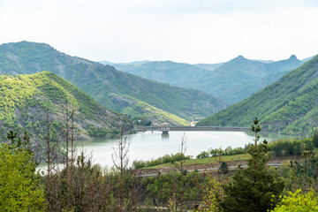 Fototapeta na wymiar The wilderness near Borovitsa lake