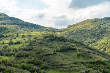 Fototapeta na wymiar The wild nature of Rhodope mountain in Bulgaria