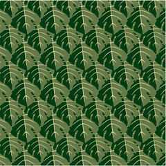 Tropic vector pattern - leaves of an exotic monstera plant close-up. Beautiful designer botany print