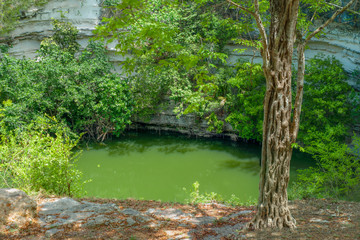 Sacred Cenote of the archaeological area of Chichen Itza, in the Yucatan peninsula
