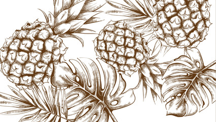 Pineapple tropic summer pattern Vector line arts. Exotic banner card template. Vintage styles