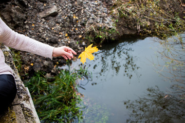 Naklejka premium Hand with yellow leaf above the water