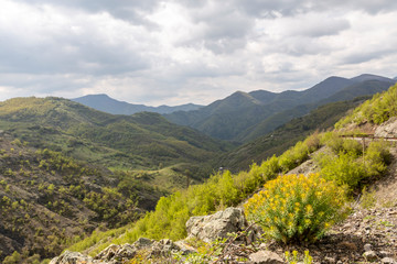 The wild nature of Rhodope mountain in Bulgaria
