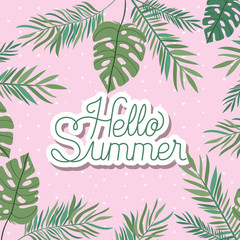 Hello summer and vacation stickers design