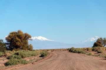 Desert road in Atacama, Chile : background with copy space for text