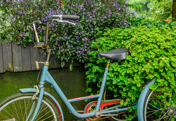 Fototapeta na wymiar Bicycle in the garden with flowers