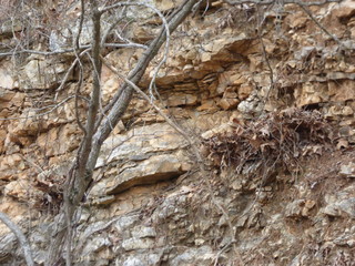 layers of rock in an exposed hillside