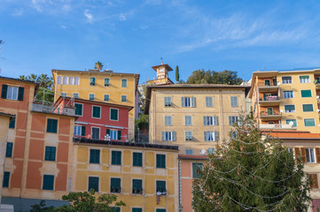 Typical Ligurian houses  in the centre of town, Zoagli, Genoa, Italy