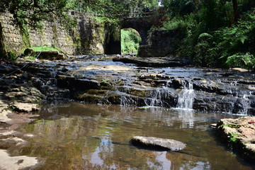 Naklejka premium Vattakanal Water Falls in Kodaikanal Hill station of India