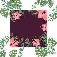 frame with flower and leaves of summer