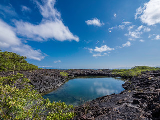 Beautiful shoreline scenery of Fernandina Island, Galapagos, Ecuador