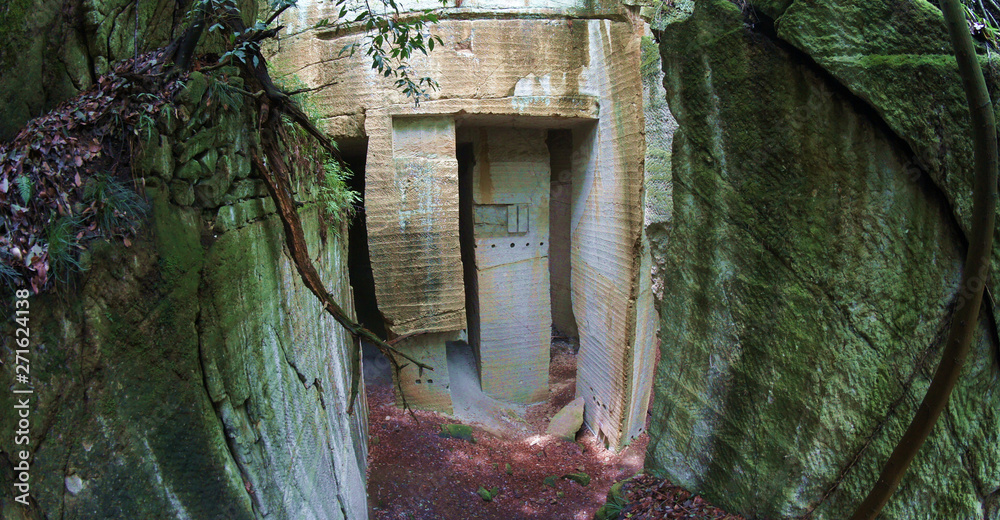 Wall mural Japanese Mysterious Fantastic Quarry ruins