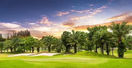 Green and sand bunker with tree in golf course on sunset background