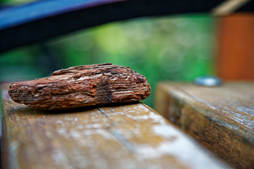 Brown wooden bark on wooden bench, close-up objects, defocused background