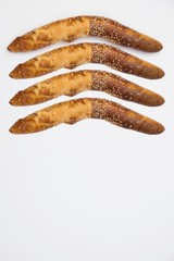 Traditional Balkan baguettes on white background