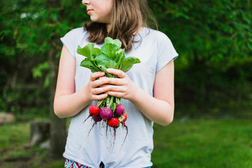 Girl Holding a Bunch of Radishes from the Garden