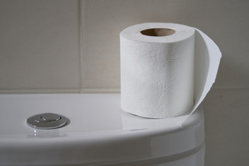 White toilet bowl in a bathroom with the roll of paper on top in perfect tones for backgrounds