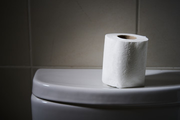 White toilet bowl in a bathroom with the roll of paper on top in perfect tones for backgrounds