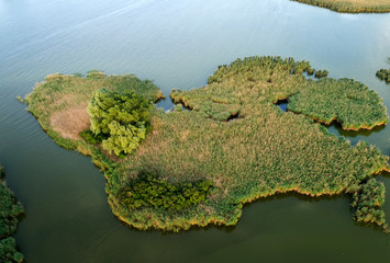 Swampy lake, aerial photography, on a summer day, background image