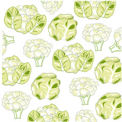 Vector illustration of the pattern of the vegetable sort cabbages