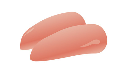 Breast meat isolated on white background vector illustration