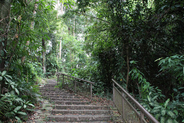 Obraz premium in a park (mount faber park) in singapore