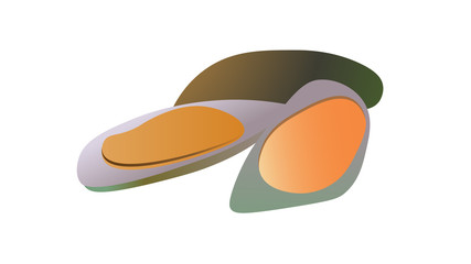 Mussels isolated on white background vector illustration