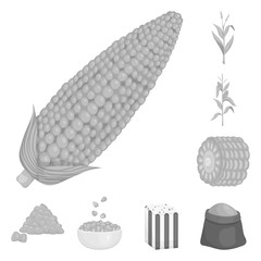 Isolated object of agriculture and nutrition logo. Collection of agriculture and vegetable stock symbol for web.