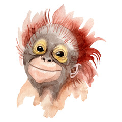 Obraz premium Exotic monkey wild animal in a watercolor style isolated. Aquarelle wild animal for background.
