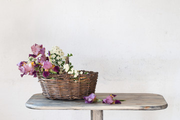 Irises in  basket on  wooden table against  background of  old white wall