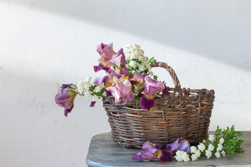 Irises in  basket on  wooden table against  background of  old white wall