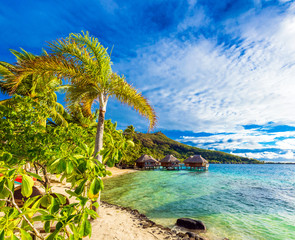 View of the sandy beach with palm trees, Bora Bora, French Polynesia..
