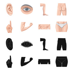 Isolated object of human and part symbol. Collection of human and woman vector icon for stock.