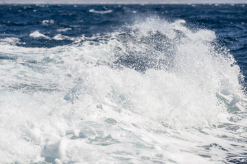 Fototapeta na wymiar Waves with foaming spray crown on the sea
