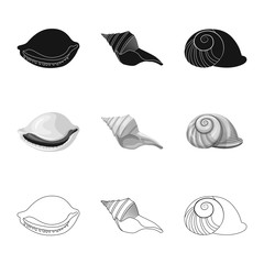 Vector illustration of animal and decoration symbol. Set of animal and ocean stock vector illustration.
