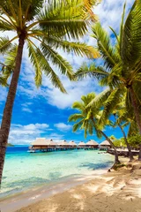 Photo sur Aluminium Bora Bora, Polynésie française Vue sur la plage de sable avec palmiers, Bora Bora, Polynésie française. Verticale.