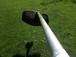 Head part of an old grass cutter machine on the grass background